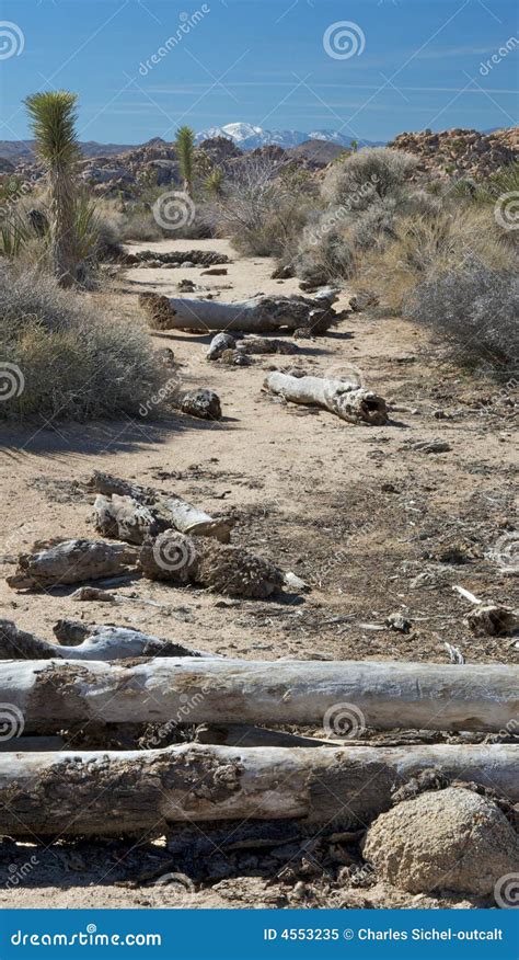 Fallen Desert.